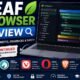 Leaf Browser Review: Features, Benefits, Drawbacks, and Safety